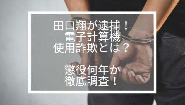 田口翔　電子計算機使用詐欺　懲役　何年