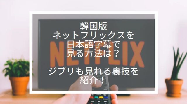 韓国版　ネットフリックス　日本語字幕
